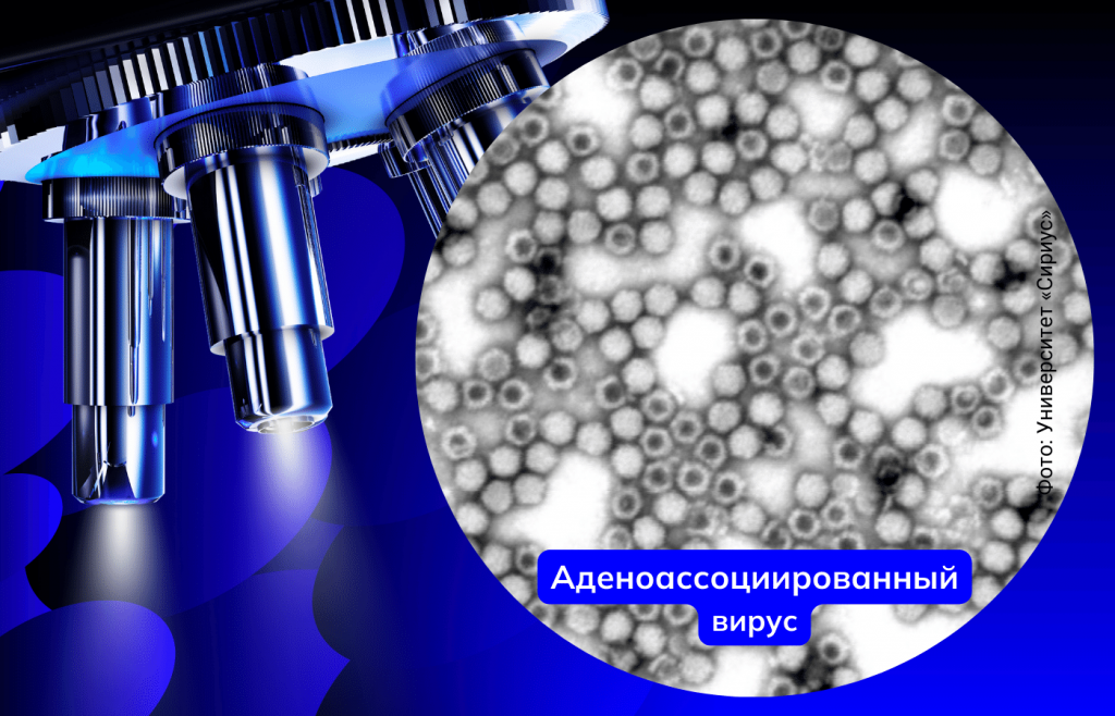 Eli Lilly приобретает разработчика генной терапии за 1 млрд долларов Eli Lilly приобретает разработчика генной терапии за 1 млрд долларов